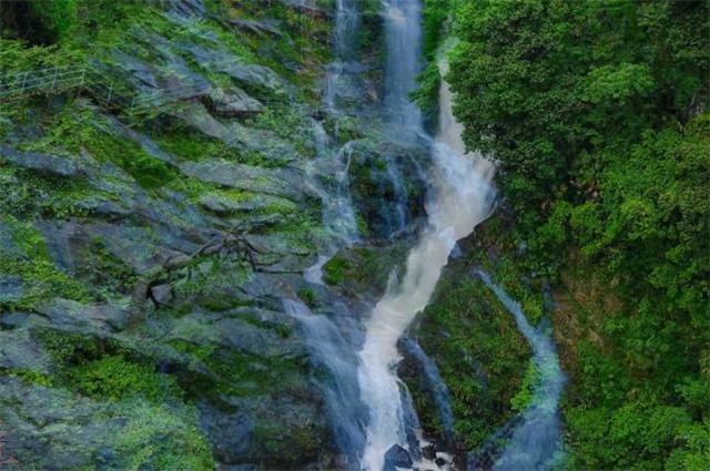 预算有限？华为nova 12全系列解析：每一款都是明智之选